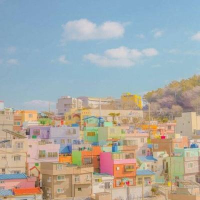 zoty中欧体育·(KOK)